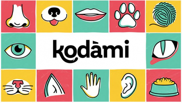 Categoria: Kodami