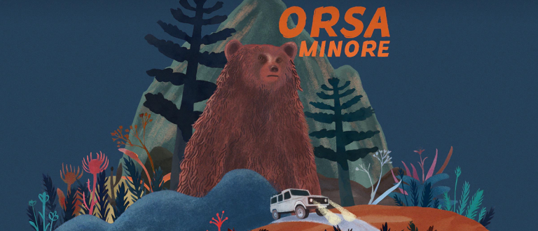 Categoria: Orsa Minore