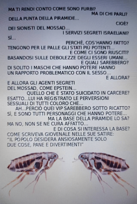 Guarda altre vignette di Martino Taurino