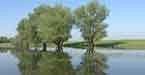 Natura 2000: Safeguarding Europe's Species and Habitats