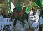 Le voci dei contadini de La Via Campesina