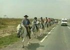 02)- Pianeta Cavallo - Equirando