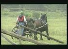 06)- Pianeta Cavallo - Città dei cavalli Pampadour