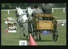 10)- Pianeta Cavallo - Maratona dei cavalli nr. 2