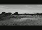 Paseo