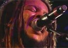 Rototom Sunsplash 2011 - Stephen Marley