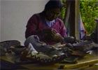 Indios dell'Amazzonia: Perù, Ecuador, Brasile