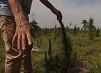 ROJA TIERRA NUESTRA