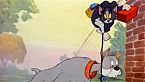 Tom & Jerry 027 - Cat Fishin