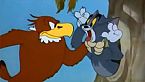 Tom & Jerry 021 - Flirty Birdy