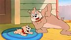 Tom & Jerry 060 - Slicked up Pup