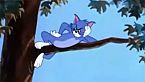 Tom & Jerry 076 - That\'s my Pup