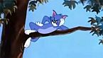 Tom & Jerry 076 - That's my Pup