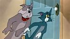 Tom & Jerry 088 - Pet Peeve