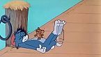 Tom & Jerry 121 - Calypso cat