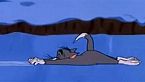 Tom & Jerry 150 - The A Tom Inable Snowman