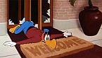 Woody Woodpecker Season02 Episode01 - Belle Boys