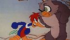 Woody Woodpecker Season02 Episode03 - Woody Woodpecker