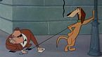 Woody Woodpecker Season02 Episode08 - Crazy Mixed-Up Pup