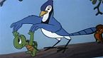 Woody Woodpecker Season02 Episode11 - The Flying Turtle