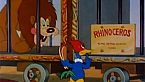 Woody Woodpecker Season03 Episode03 - The Dizzy Acrobat
