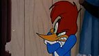 Woody Woodpecker Season03 Episode10 - Wrestling Wrecks