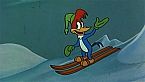 Woody Woodpecker Season04 Episode02 - Pixie Panic