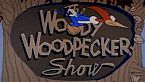 Woody Woodpecker Season04 Episode04 - Crow Crazy