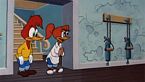 Woody Woodpecker Season05 Episode11 - Real Gone Woody