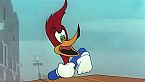 Woody Woodpecker Season07 Episode03 - Woody the Giant Killer