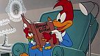 Woody Woodpecker Season07 Episode07 - Get Lost