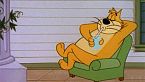 Woody Woodpecker Season10 Episode13 - Tree's a Crowd