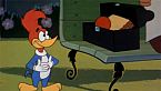 Woody Woodpecker Season12 Episode01 - Misguided Missile