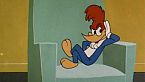 Woody Woodpecker Season12 Episode09 - Ballyhooey