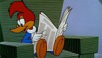 Woody Woodpecker Season13 Episode13 - International Woodpecker