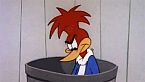 Woody Woodpecker Season14 Episode12 - Sufferin Cats