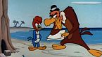 Woody Woodpecker Season15 Episode05 - Bunco Busters
