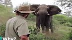 This experiment show us how humans and animal