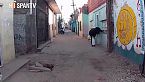 Recorridos Urbanos - Villas miseria y delincuencia