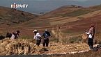 La Gran Historia - Perú: Biopiratería