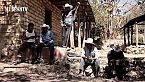 K'altik Zapatista