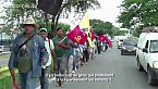 Marcha.  Campesinos,Terra TV Venezuela 2018