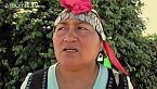 Maria Huenuñir - poeta mapuche