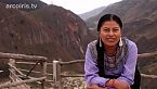Mi primer año en internet. Nancy Risol, indígena, Ecuador