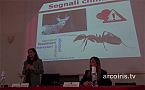 Claudia Bordese - Comunico, dunque sono. Comunicare per vivere, sopravvivere, sopraffare