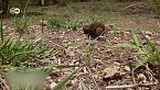 Los guardianes del Parque Nacional Kruger