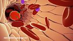 Hepatitis C: Premio Nobel fisiología o medicina 2020