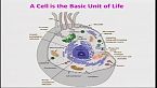 Jean Paul Thiery: Las nuevas fronteras de la vida - IA y células madre