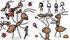 ¡La Invasión de las Hormigas Locas!