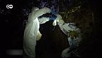 ¿Se originará en Brasil la próxima pandemia?